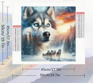 Preview: Diamond PaintingSiberian Husky